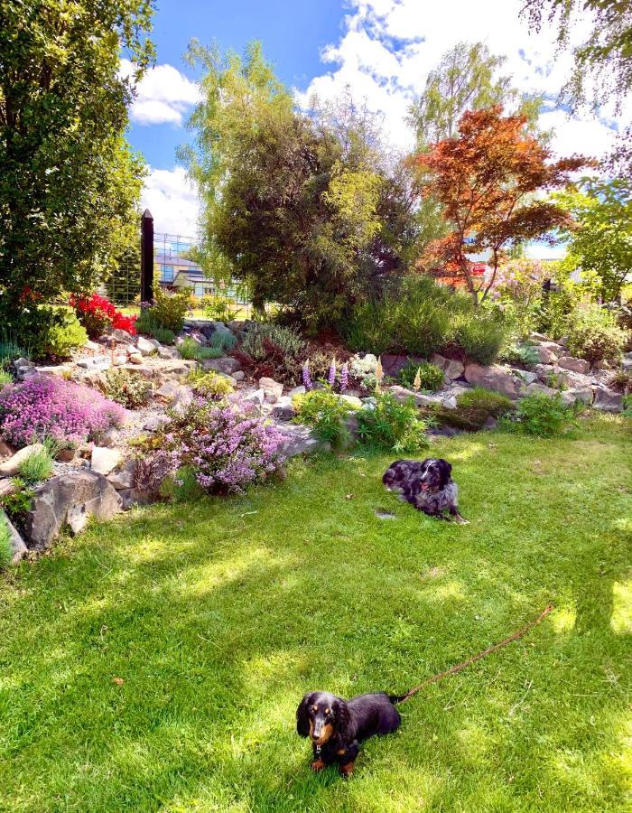 Tailor Made Tekapo Accommodation - Hostel Lake Tekapo Exterior foto