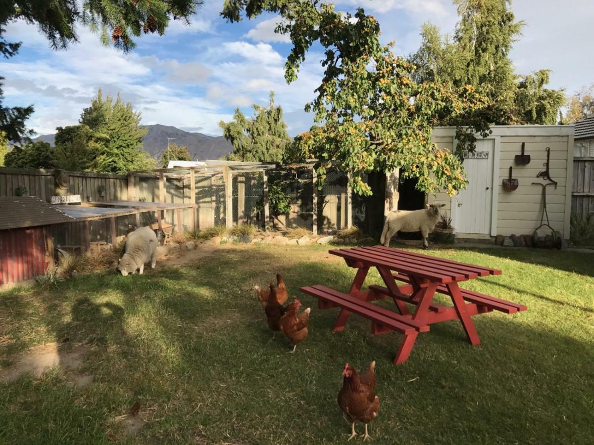 Tailor Made Tekapo Accommodation - Hostel Lake Tekapo Exterior foto